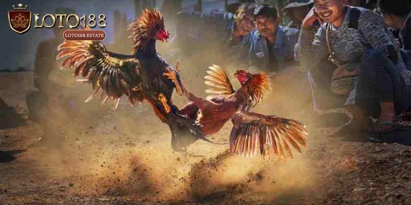 Đá Gà Loto188: Sân Chơi Đổi Thưởng Cực Hấp Dẫn 2026 1 Giới thiệu sơ lược về chuyên mục Đá gà Loto188