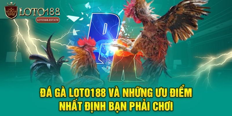 Đá Gà Loto188: Sân Chơi Đổi Thưởng Cực Hấp Dẫn 2026 2 Tại sao nên lựa chọn trải nghiệm Đá gà Loto188?