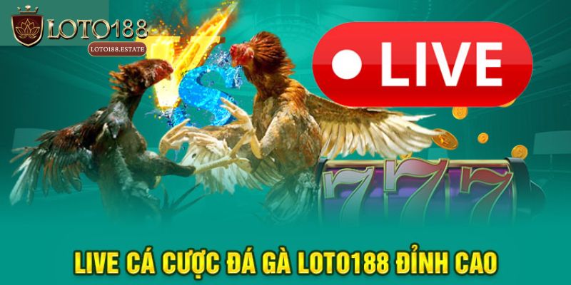 Đá Gà Loto188: Sân Chơi Đổi Thưởng Cực Hấp Dẫn 2026 4 Top 3 hình thức cá cược được yêu thích tại Đá gà Loto188